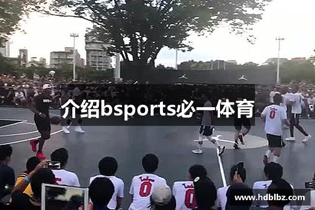 介绍bsports必一体育